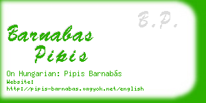 barnabas pipis business card
