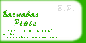 barnabas pipis business card